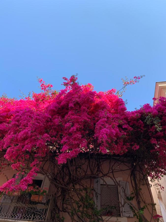 Casa Bougainvillea Casa Azara Exterior foto